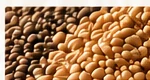 Envases y sacos de papel para semillas y cereales